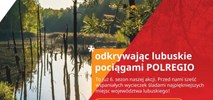 Odkrywając lubuskie pociągami Polregio można poczuć przygodę