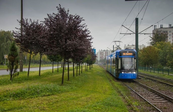 Tramwaj do Mistrzejowic. Kraków zapowiada ochronę kolejnych drzew