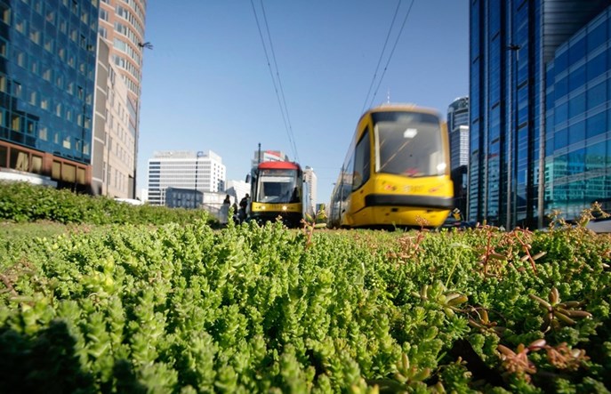 Tramwaje Warszawskie: Jeszcze więcej zielonych torów. Umowa podpisana