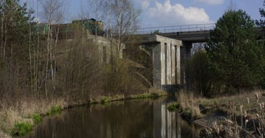 Kolej Plus: Modernizację i przedłużenie linii bełchatowskiej zaprojektuje TPF