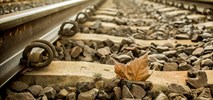 Fundacja „Pro Kolej” postuluje standaryzację utrzymania sieci kolejowej