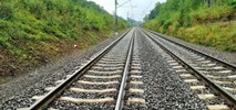 Jaki procent linii kolejowych w Polsce daje możliwość jazdy powyżej 120 km/h?