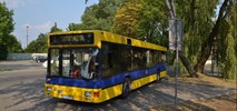 Pabianice z nową linią dowozową do tramwaju