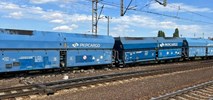 Wykolejenie pociągu PKP Cargo w Poznaniu [zdjęcia]