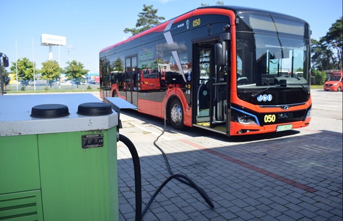 Stalowa Wola z trzema ofertami na elektrobusy. Będą kolejne lwy?