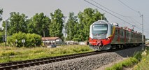 Przewozy komercyjne to mniej niż 2% polskiego rynku kolejowego