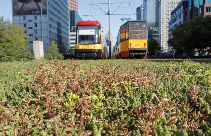Warszawa: Przybywa zielonych torowisk [schematy]