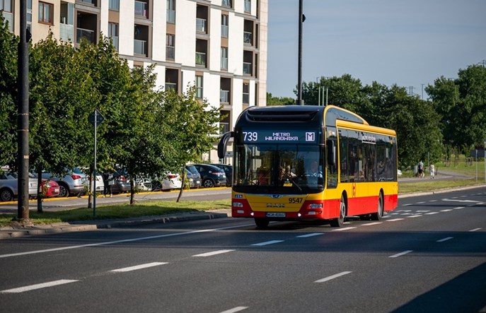 Rok z buspasem na Puławskiej