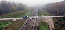 PLK znów buduje przystanek kolejowy w lesie