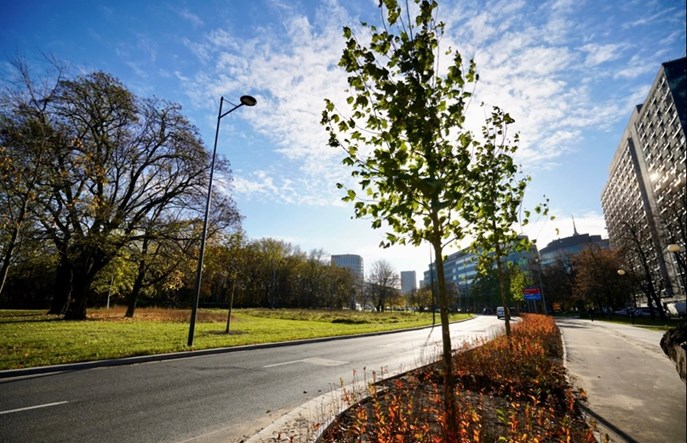 Rowerowa Warszawa. ZDM kończy Marszałkowską i przechodzi na Andersa