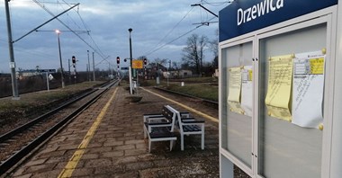 PKP Intercity: Powrót do Drzewicy udany, ale pociągów nie przybędzie 