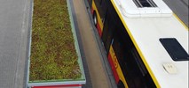 Warszawa: W tym roku aż 90 zielonych przystanków