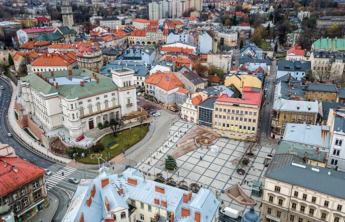 Bielsko-Biała. Drzewa i krzewy na Chrobrym?