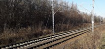 Łódź: Rusza budowa przystanku kolejowego Zarzew. Będą utrudnienia 
