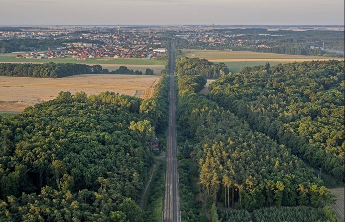 Ekologiczna, cicha i bezpieczna – sprawdź najnowsze dane o kolei