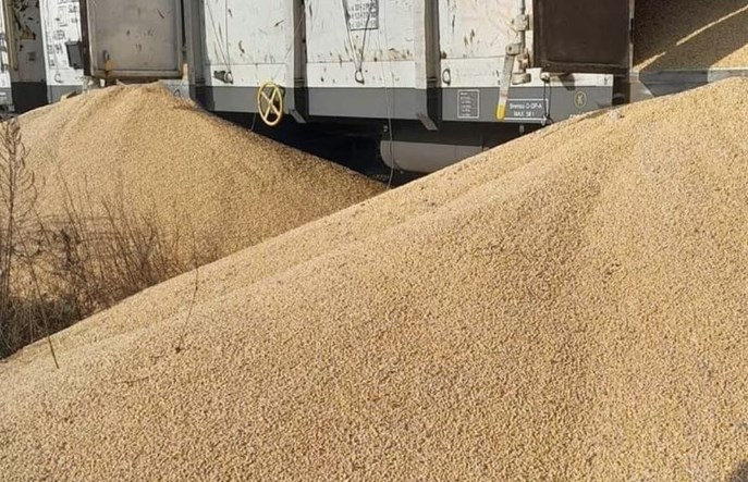 Ecco Rail: Zboże wysypane z wagonów pod Bydgoszczą jechało do Irlandii