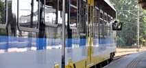 Opolskie wyjaśnia, dlaczego kupuje krótkie zespoły trakcyjne