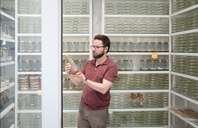 Powstała polska technologia oczyszczania gleby z kreozotu