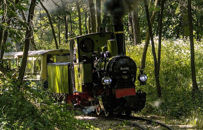 Wąskotorówki wracają do łask