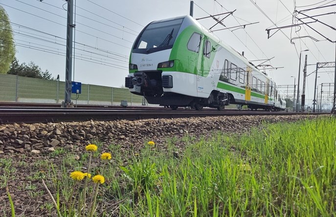 Majówka z Kolejami Mazowieckimi. Jak korzystać z tańszych biletów? 