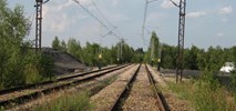 Śląskie: Wakacyjna naprawa torów w rejonie Knurowa 