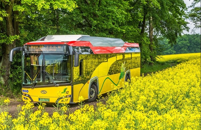 Oświęcim akceptuje oferty na elektrobusy