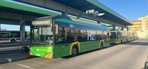 MPK Poznań z trzema ofertami na dostawę autobusów wodorowych