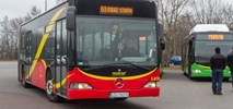 Zgierz z nową linią autobusową i przetargiem na operatora 