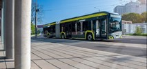 Świdnica wybiera dostawcę przegubowych elektrobusów