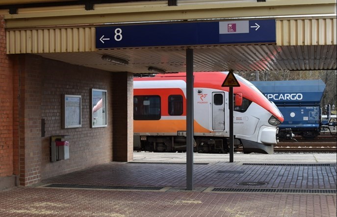 Lubuskie: Myślimy nad własną spółką transportową