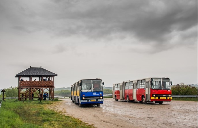Klasyki wyjeżdżają na ulicy Bydgoszczy