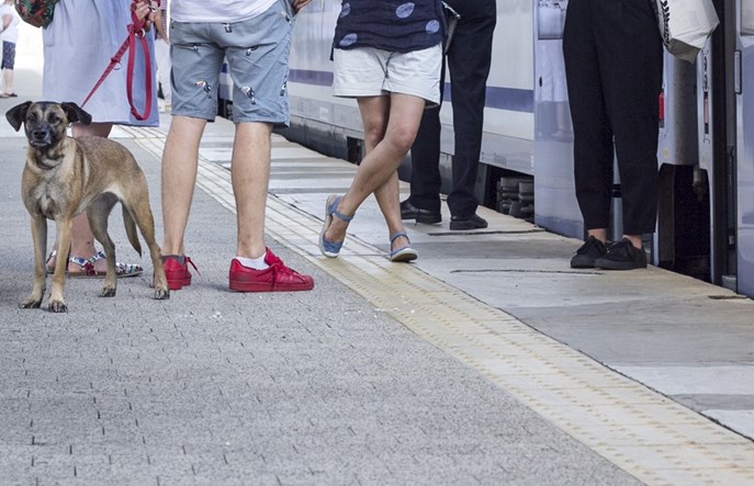 Odwołałeś podróż pociągiem ze względu na powódź. Co teraz?