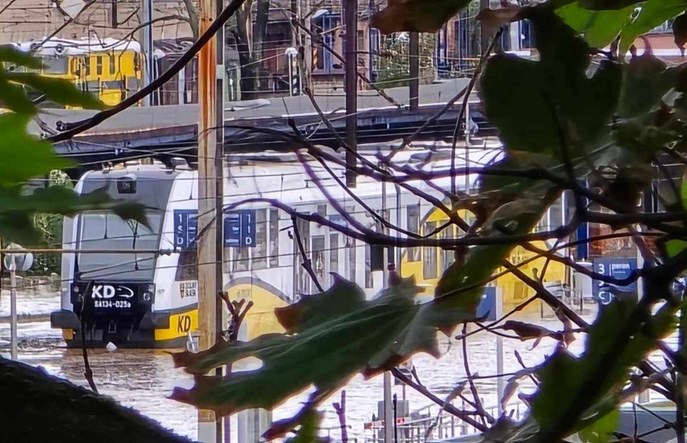 Newag przekazał 150 tysięcy złotych na powodzian z KD