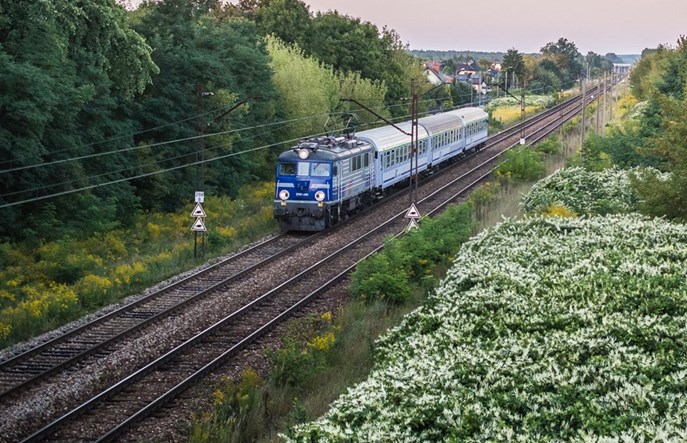Udany powrót kolei dalekobieżnej do Płocka 
