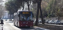 Włoski rynek autobusowy pobił rekord kraju! 