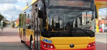 Łomża z jedną ofertą na 4 elektrobusy