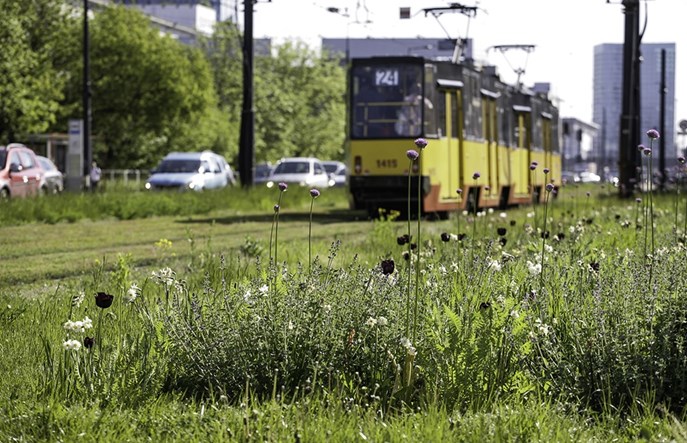 Tramwaje Warszawskie. Będą priorytety na dwóch kolejnych skrzyżowaniach