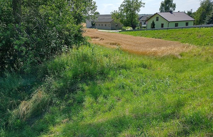 40 lat bez ruchu na wojskowej linii 82