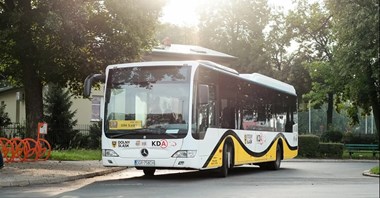 Koleje Dolnośląskie. Kolejowe autobusy dowozowe coraz popularniejsze