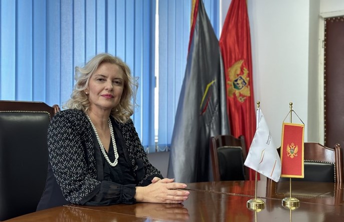 Koleje Czarnogórskie kupią w Polsce EZT-y?