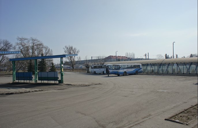 PGZTP Mińsk Maz.: Musimy odbudować siatkę połączeń po PKS-ie 