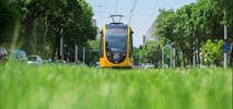 Budapeszt. Na tory wyjeżdżają nowe tramwaje CAF