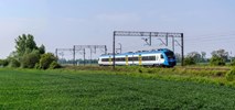 Koleje Śląskie z dodatkowymi pociągami na weekend majowy