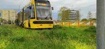 Toruń chce tramwaju na lewobrzeżu. Analiza zlecona