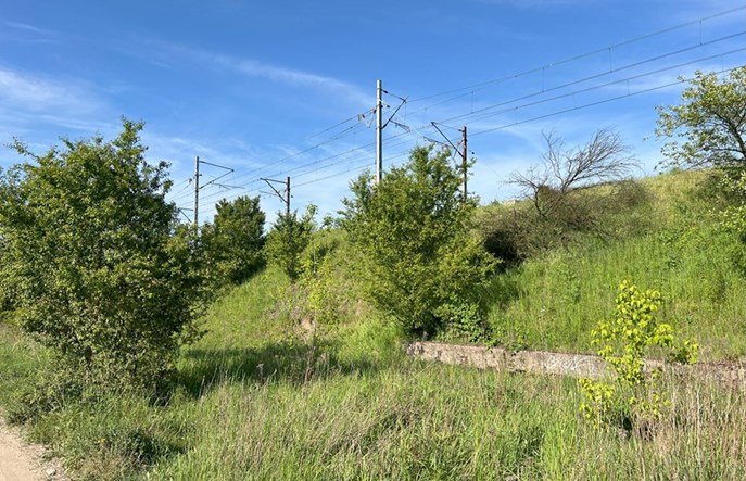 Poznań. Nie będzie przystanku kolejowego Naramowice Wschodnie/Rubież