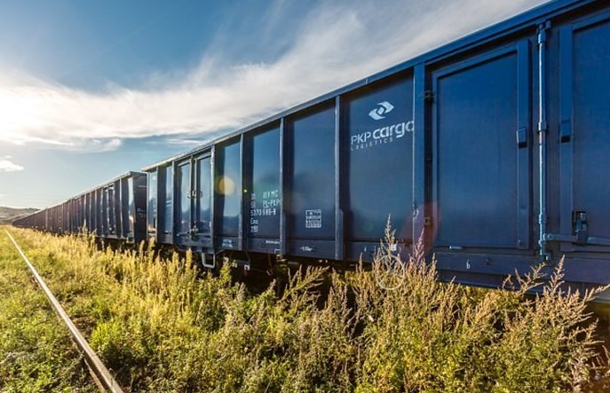 PKP Cargo chce sprzedać ponad 10 tysięcy wagonów