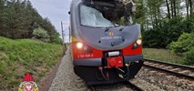 Mała Nieszawka. Słup trakcyjny spadł na pociąg z Bydgoszczy do Łodzi