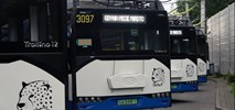 Solaris dostarczy Gdyni więcej trolejbusów 