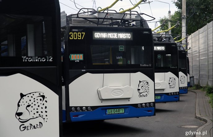 Solaris dostarczy Gdyni więcej trolejbusów 