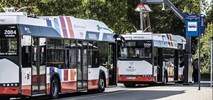 Radom na zakupach. Poszukuje autobusów na gaz